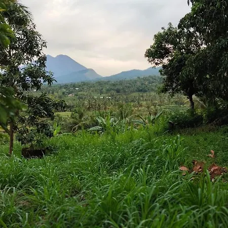 Mudung Keramat Homestay Sapit Bagian luar foto
