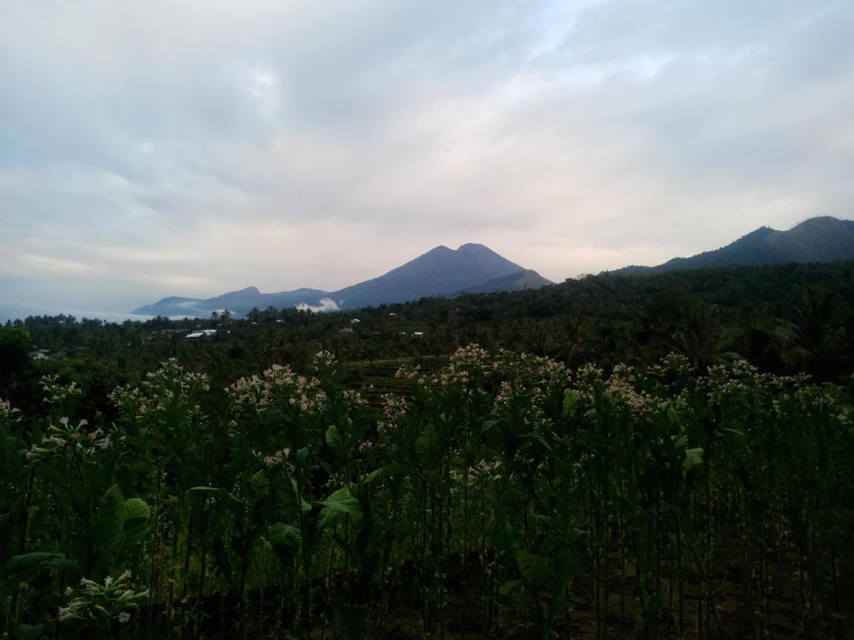 Homestay Mudung Keramat *