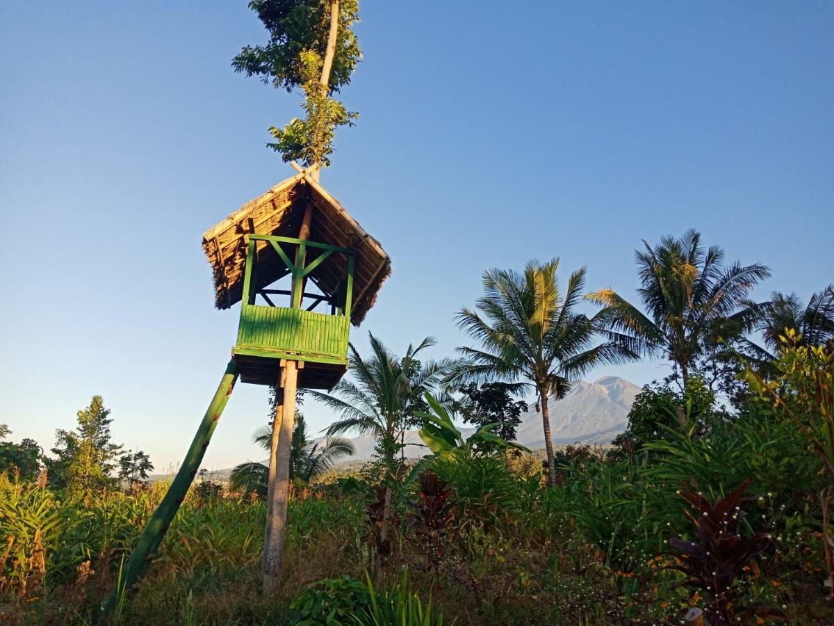 Homestay Mudung Keramat Sapit